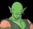 pic1.gif (5745 bytes)