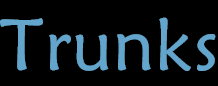 tru.gif (2655 bytes)